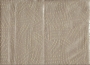13938079_1060662864011031_1476362944062777858_o