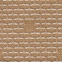 14141890_1073380449405939_2045745906649117493_n