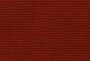 14222266_1073378866072764_6225253922791598677_n