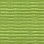 14225356_1074232295987421_8189636154127977690_n