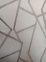 36496784_1708997439177567_375164074750640128_o